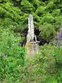 Budakeszi arboretum - nyar jelkepe
